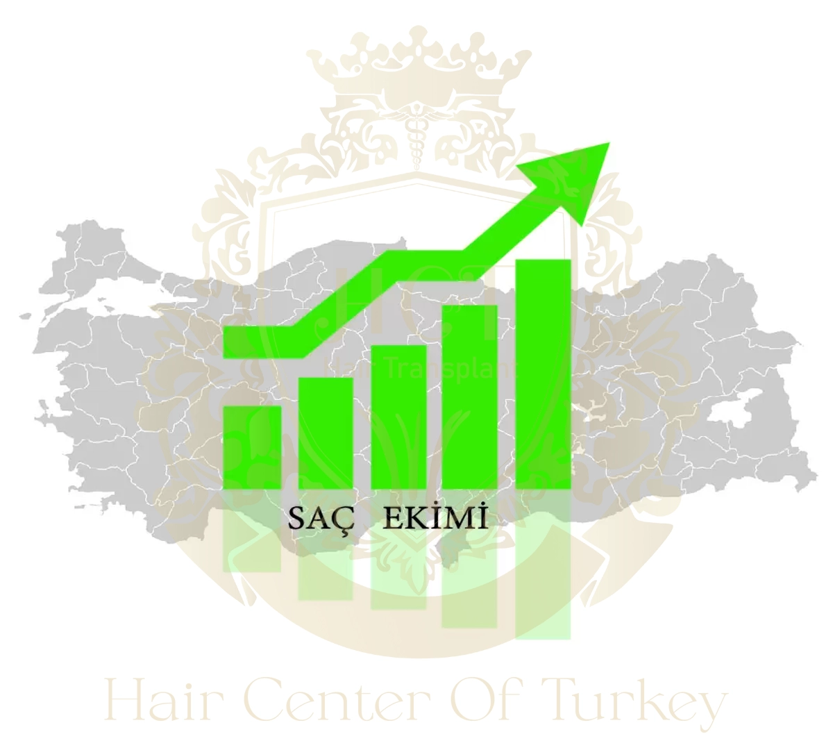 Türkiye'de Saç Ekim Maliyetleri